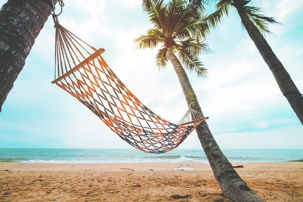 hammock with coconut palm tree - Foto, imagen