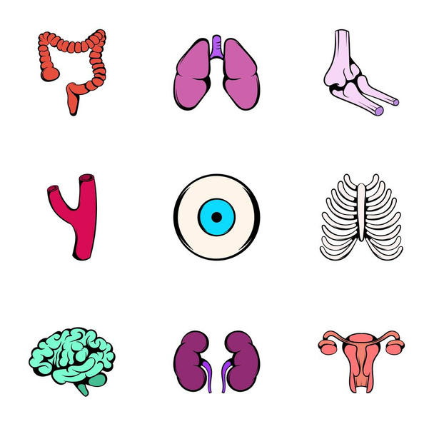Anatomy icons set, cartoon style - Wektor, obraz