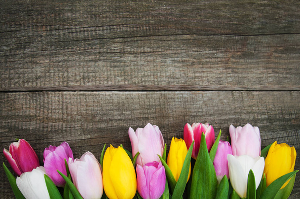 jarní tulipány květiny  - Fotografie, Obrázek