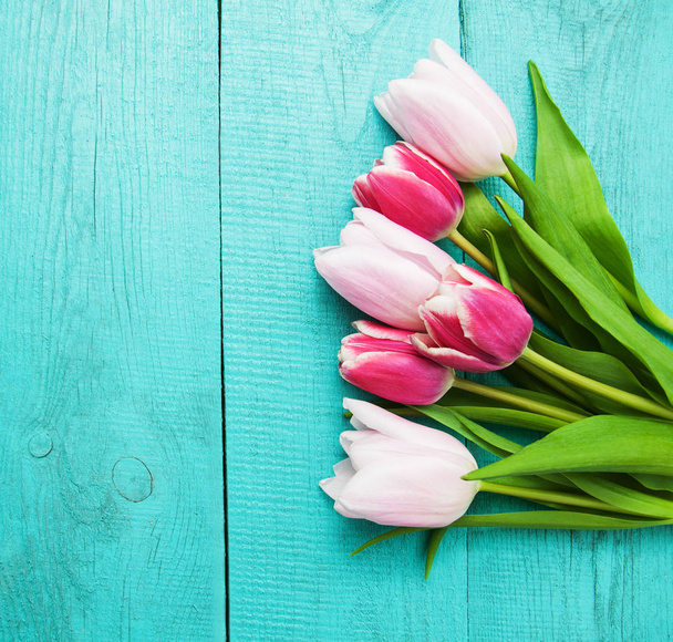 Spring tulip flowers - Fotografie, Obrázek