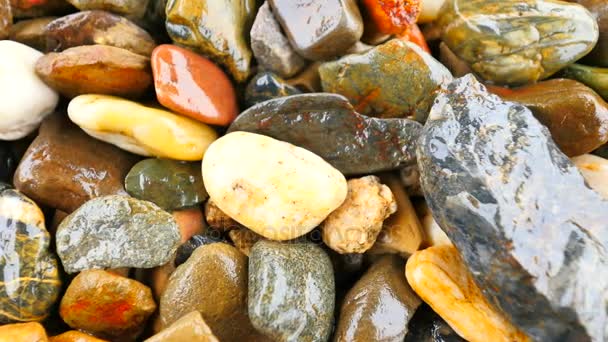 Wet stony pavement from natural pebbles. Colorful rounded stones, traditional building material. Camera moving close up to wet ground.  - Footage, Video