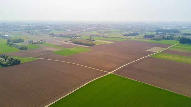 Natur und Landschaft: Luftaufnahme eines Feldes, Kultivierung, grünes Gras, Landschaft, Landwirtschaft, Feldweg - Foto, Bild