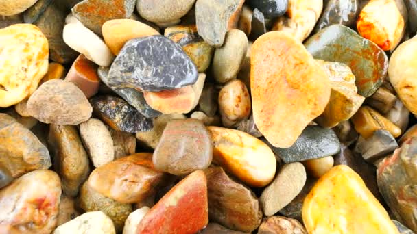 Märkä kivinen jalkakäytävä luonnonkivistä. Värikkäitä pyöristettyjä kiviä, perinteinen rakennusmateriaali. Kamera liikkuu lähellä märkää maata
.  - Materiaali, video