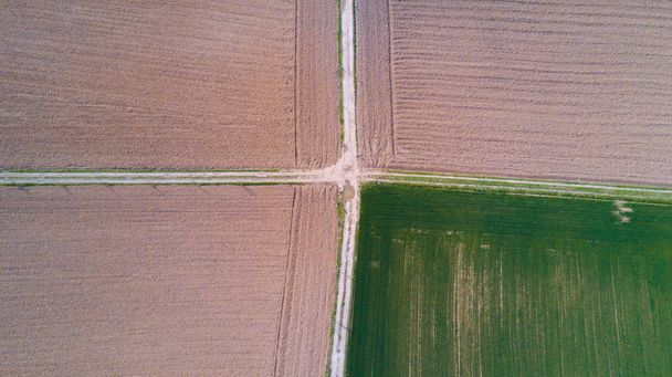 Natura i krajobraz: widok z lotu ptaka pola, uprawy, Zielona trawa, wsi, rolnictwa, polnej drodze - Zdjęcie, obraz
