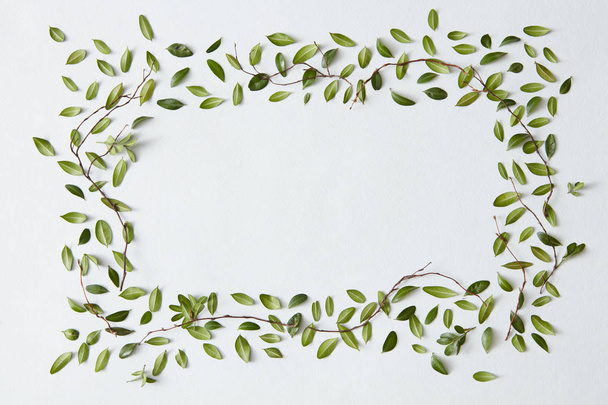 green leaves frame - Photo, Image