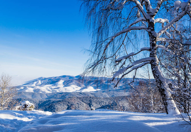 Vista da montanha Tserkovka nas Montanhas Altai no inverno
.   - Foto, Imagem