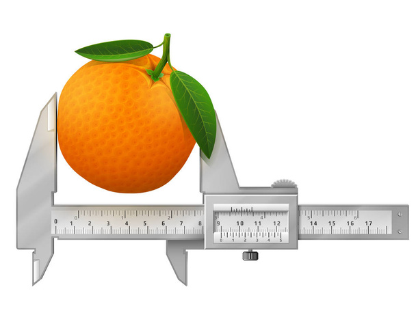 Horizontal caliper measures orange fruit - Vector, Image