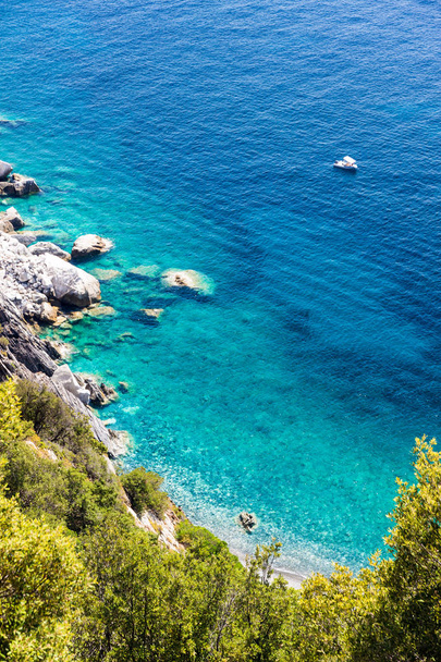 Elba island sea near Pomonte - 写真・画像