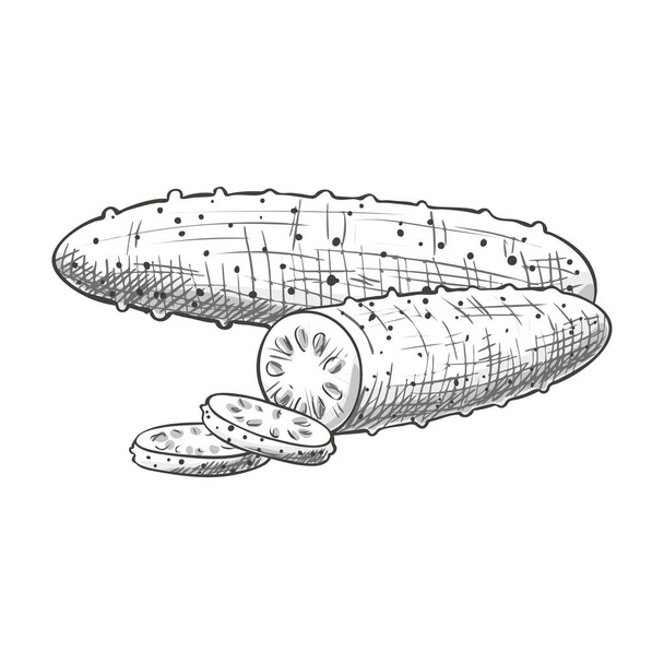 Monochrome sliced cucumber - Vektor, obrázek