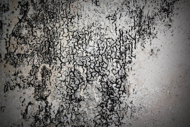 ασβεστοκονίαμα που έχουν καταστραφεί από μούχλα σε παλιό τοίχο - Φωτογραφία, εικόνα