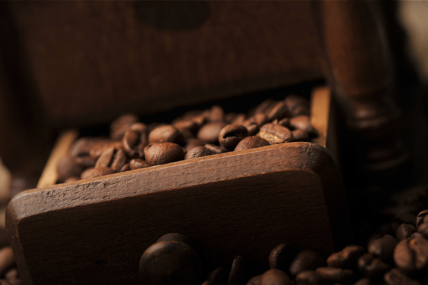 Coffee beans - Fotó, kép