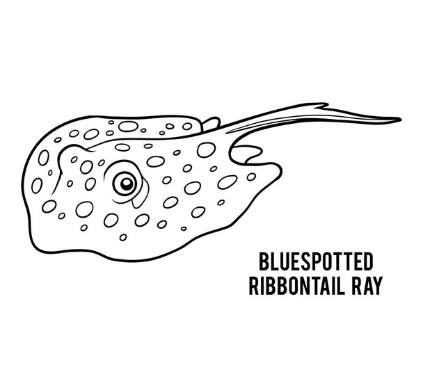 Βιβλίο με σελίδες χρωματισμού, Bluespotted ribbontail ray - Διάνυσμα, εικόνα