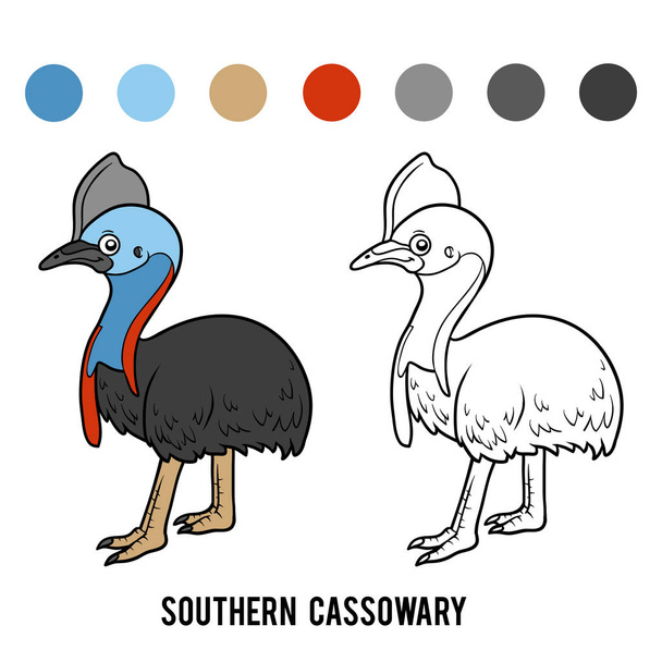 Omalovánky, Southern cassowary - Vektor, obrázek