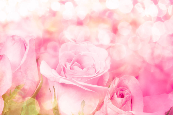 primer plano rosa claro dulce sobre fondo de iluminación abstracta rosa
   - Foto, Imagen