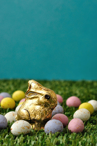Velikonoční zajíček zobrazen s kropenatý velikonoční vajíčka - Fotografie, Obrázek