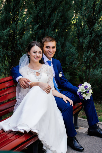 The bride and groom sit on a bench. The groom hugs the bride - Foto, Imagem