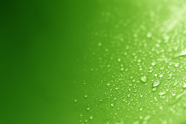 抽象化のためとして緑のスポンジの表面に雨の水滴を閉じる - 写真・画像