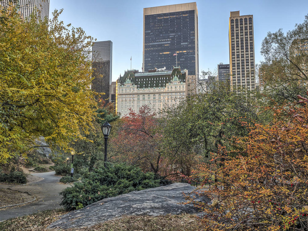 Central Park, Nowy Jork - Zdjęcie, obraz