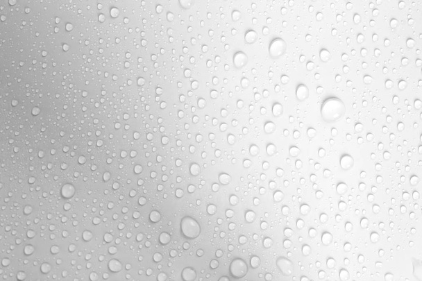 Krople wody na białym tle - Zdjęcie, obraz