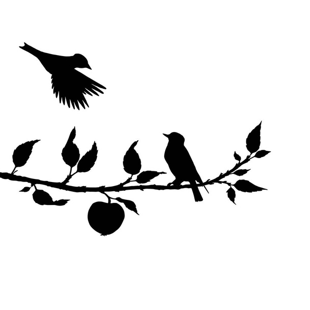 birds at tree silhouettes - Vector, Image