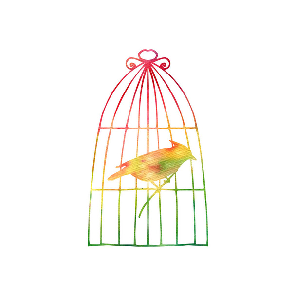 Goldfinch en una jaula
 - Foto, Imagen
