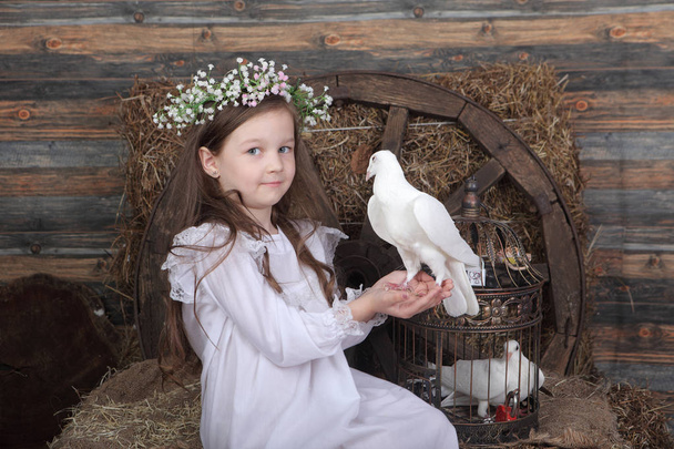 a live dove is sitting in the hands of the girl in the white dre - Photo, image