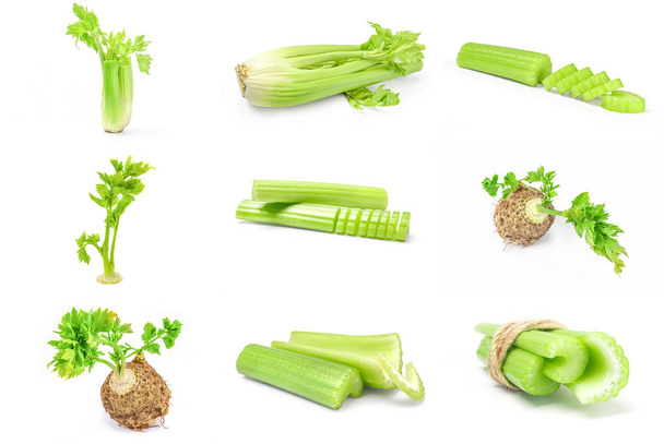 Collage of celery isolated on a white background with clipping path - Photo, Image