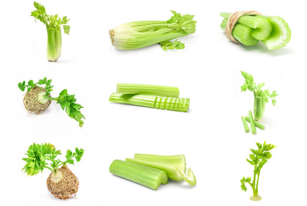 Group of celery isolated on a white background - Photo, Image