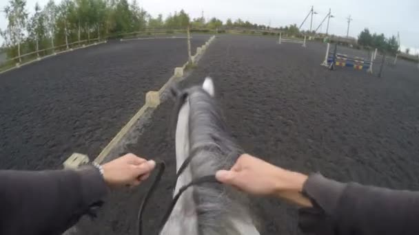 First person view of riding a horse. Point of view of rider walking at stallion at nature. Pov motion. Close up - Footage, Video