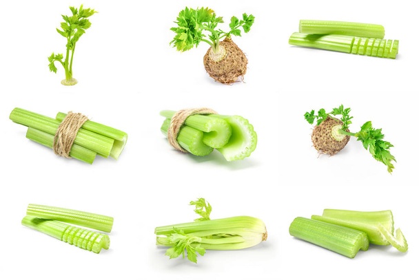 Koláž z celer na bílém pozadí - Fotografie, Obrázek