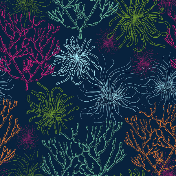 Коллекция морских растений, кораллов и водорослей. Винтажный бесшовный рисунок с нарисованной вручную морской флорой. Векторная иллюстрация в линейном стиле
. - Вектор,изображение