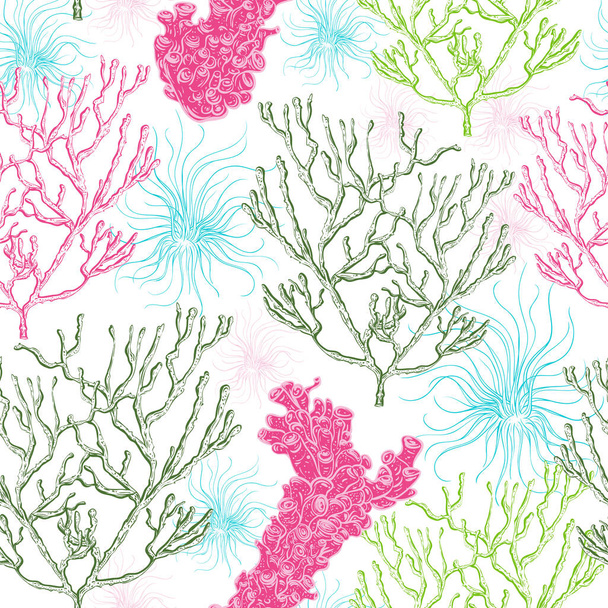 Collection of marine plants, corals and seaweed. Vintage seamless pattern with hand drawn marine flora. Vector illustration in line art style. - Vector, Image