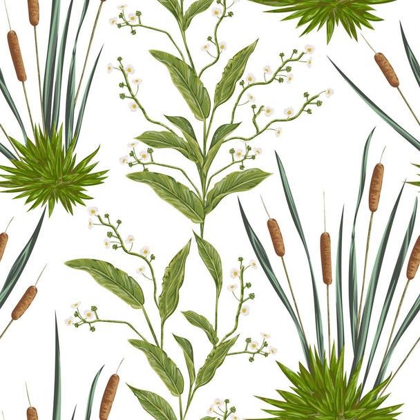 Seamless pattern with bulrush and swamp plants. Vintage hand drawn vector illustration in watercolor style - Vector, Image