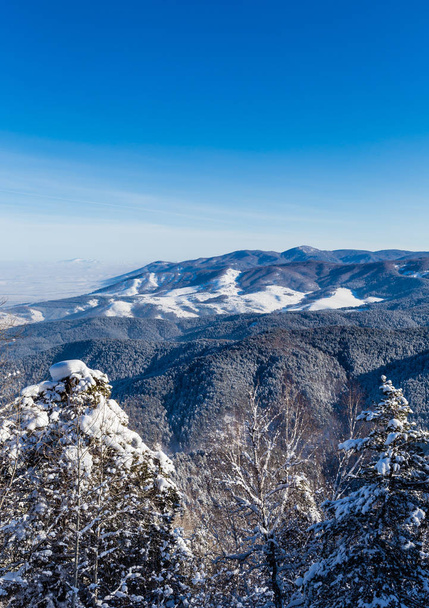 冬のアルタイ山脈 Tserkovka 山からの眺め.   - 写真・画像