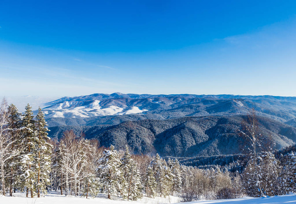 Vista dalla montagna di Tserkovka alle montagne Altai in inverno
.   - Foto, immagini