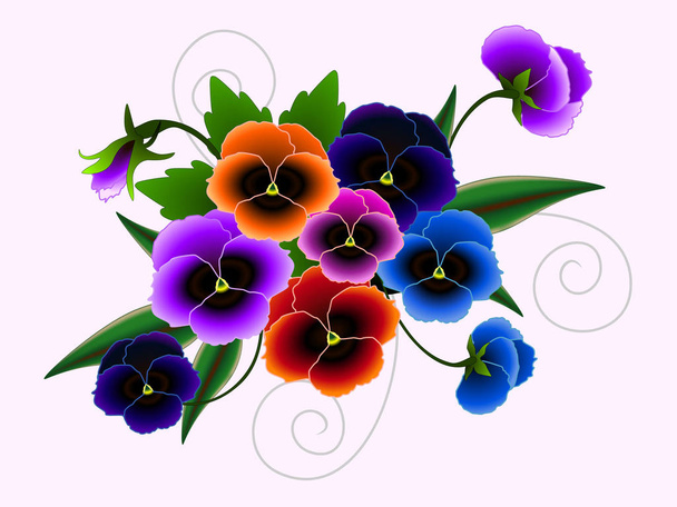 Floral background with pansies. - Вектор,изображение