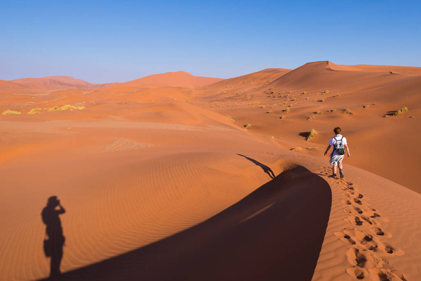 Turista caminando por las dunas pintorescas de Sossusvlei, desierto de Namib, Parque Nacional de Namib Naukluft, Namibia. Luz de la tarde. Aventura y exploración en África
. - Foto, Imagen