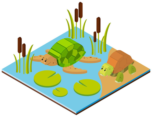 Vijver scène met twee schildpadden in 3D-ontwerp - Vector, afbeelding