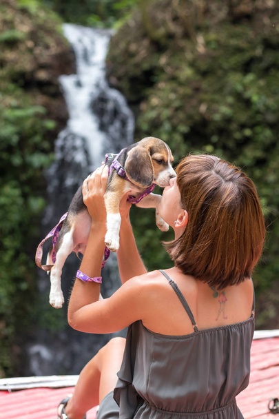 hübsche Frau schöne junge glücklich mit kleinen Hundewelpen Beagle. tropische Insel bali, Indonesien. Dame mit Beagle, Wasserfall auf einem Hintergrund. Liebesszene. - Foto, Bild