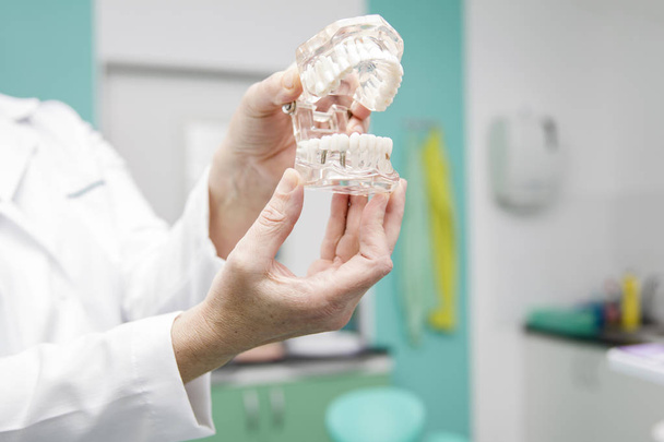 Zubař držení protézy modelu - Fotografie, Obrázek