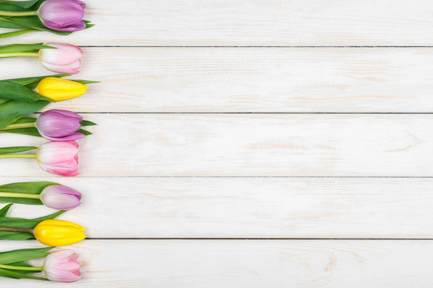 Line of pink and yellow tulips lying on a white wooden backgroun - Foto, Imagem