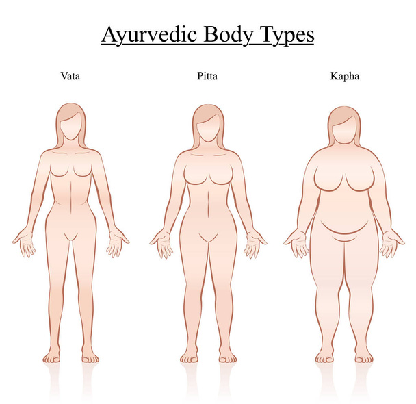 アーユルヴェーダ体質タイプ女性 - ベクター画像