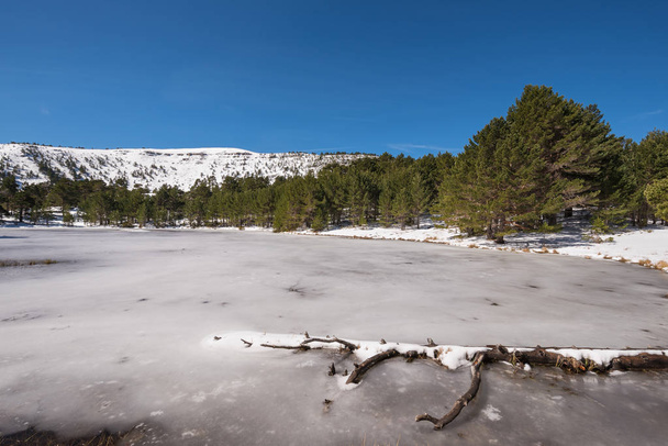 Winter landscape of frozen lagoon in Neila lagoons, in Burgos, D - Фото, зображення
