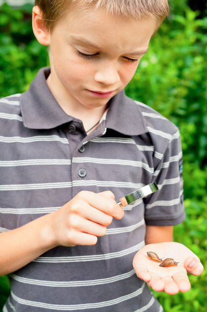 Kid observing snails - Photo, Image
