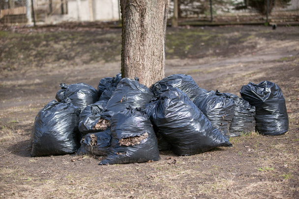 Στοίβα από σακούλες σκουπιδιών για να πάρετε έξω. καθαρίσει το πάρκο της πόλης, την άνοιξη και το φθινόπωρο - Φωτογραφία, εικόνα