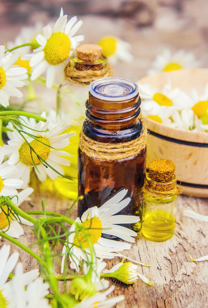 Medicinal chamomile. Homeopathy. Selective focus.  - Photo, Image