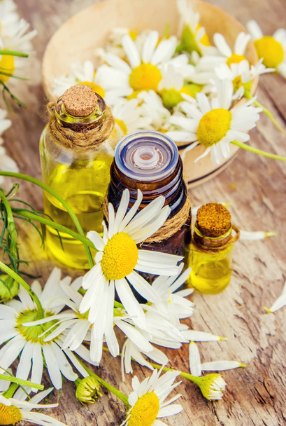 Medicinal chamomile. Homeopathy. Selective focus.  - Photo, Image