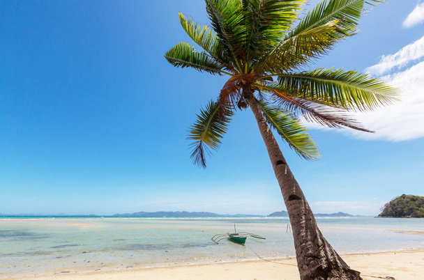 Serenity tropical beach - Фото, изображение