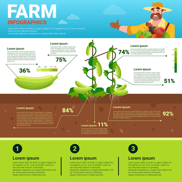 Infografías agrícolas Eco Friendly Organic Natural vegetable Growth Farm Production Banner con espacio de copia
 - Vector, Imagen