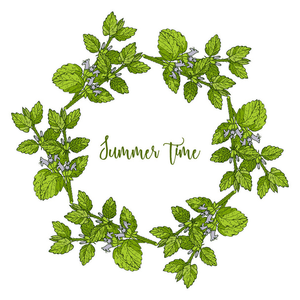 Hand drawn summer wreath - Vector, afbeelding